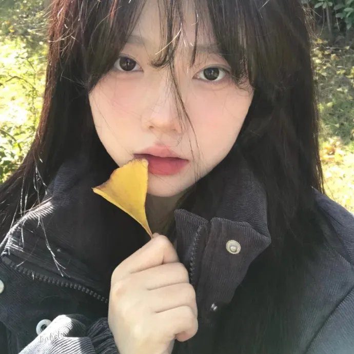 小鸡